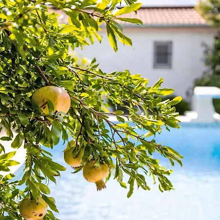 בית נופש Casa Sole Beheizter Pool By Interhome פולה